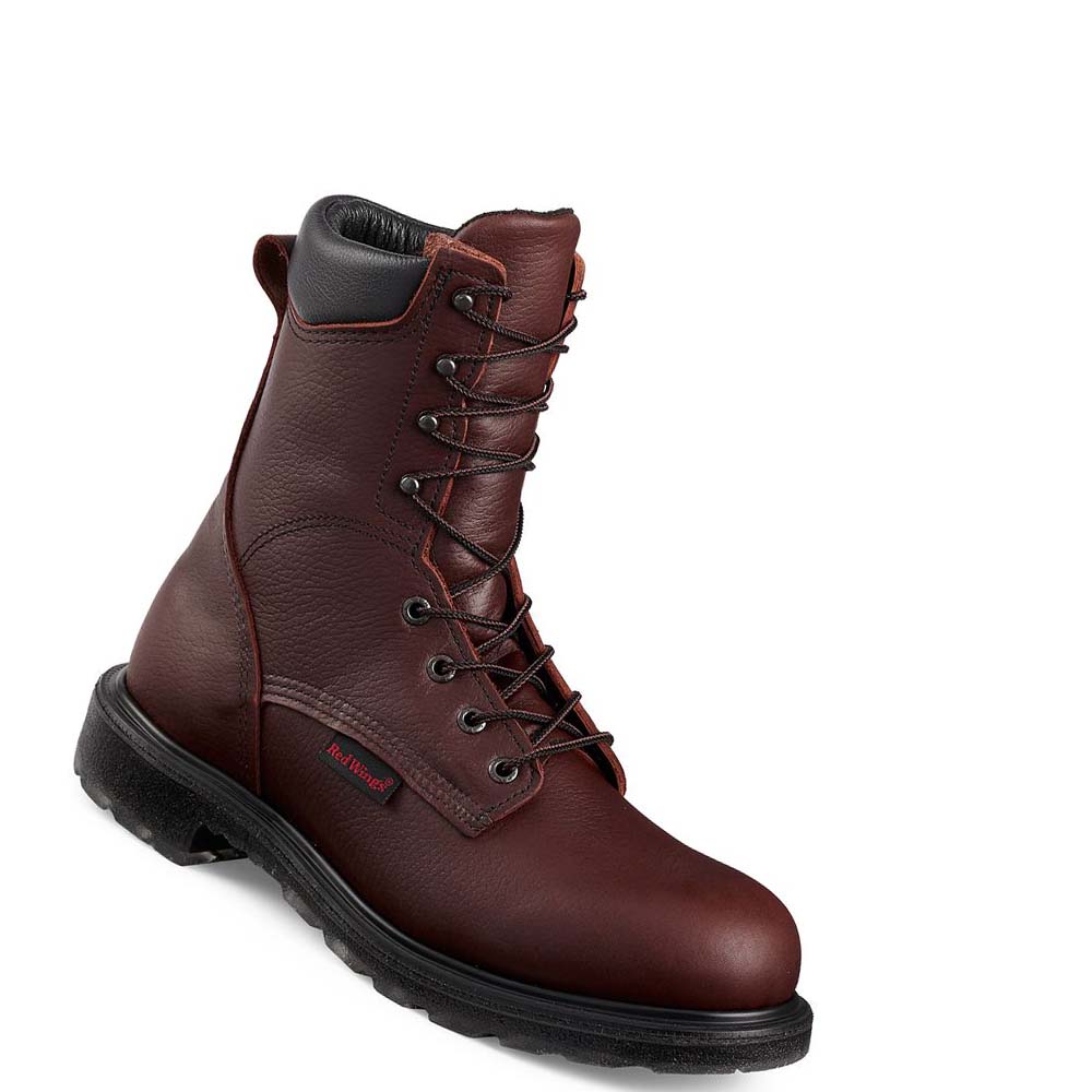 Red Wing SuperSole® 2.0 8-inch Men\'s Safety Boots Burgundy | ZA 283HAP